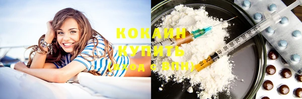 спиды Бородино