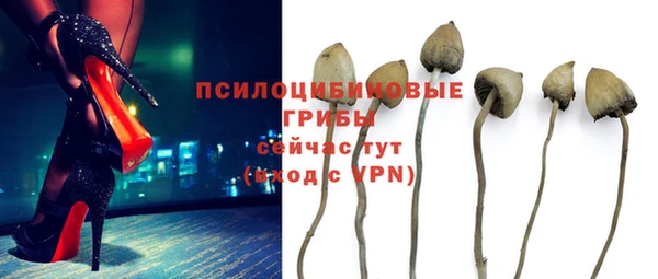 COCAINE Верея