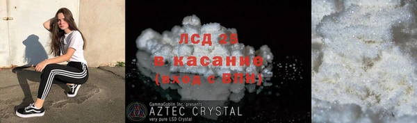 спиды Бородино