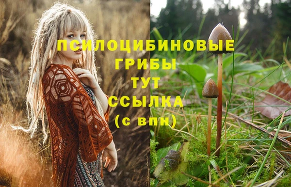 спиды Бородино