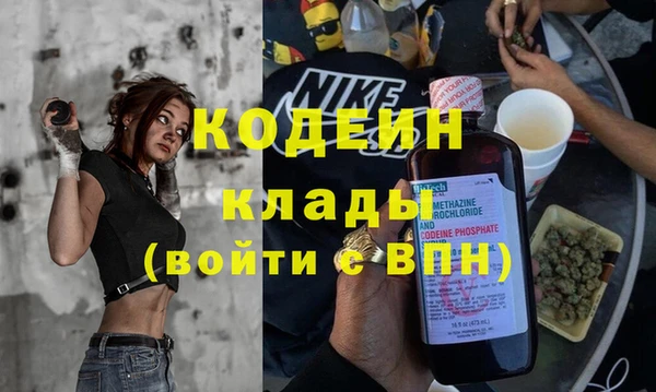 спиды Бородино