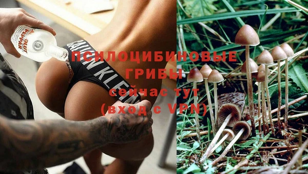 соль ск Бронницы