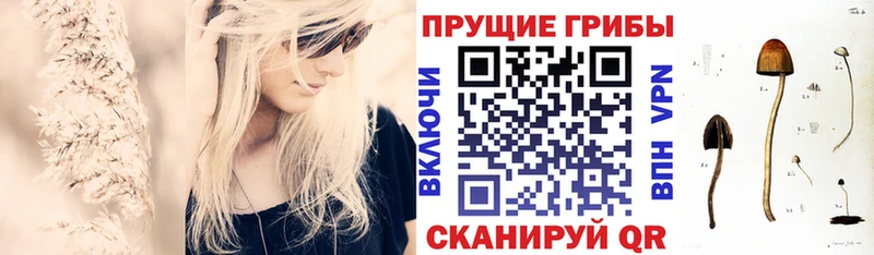 Галлюциногенные грибы GOLDEN TEACHER  Купить закладки  Меленки 